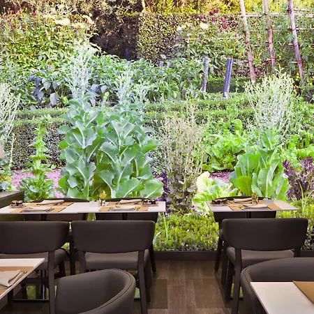 Hotel Starhotels Echo