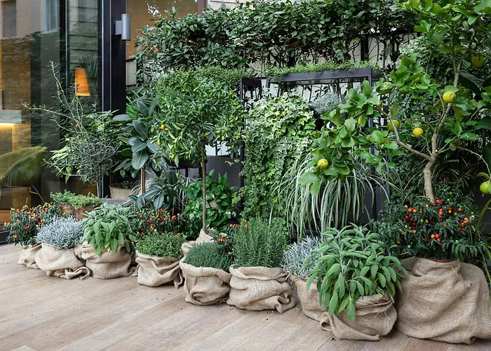 מלון Starhotels Echo 4*